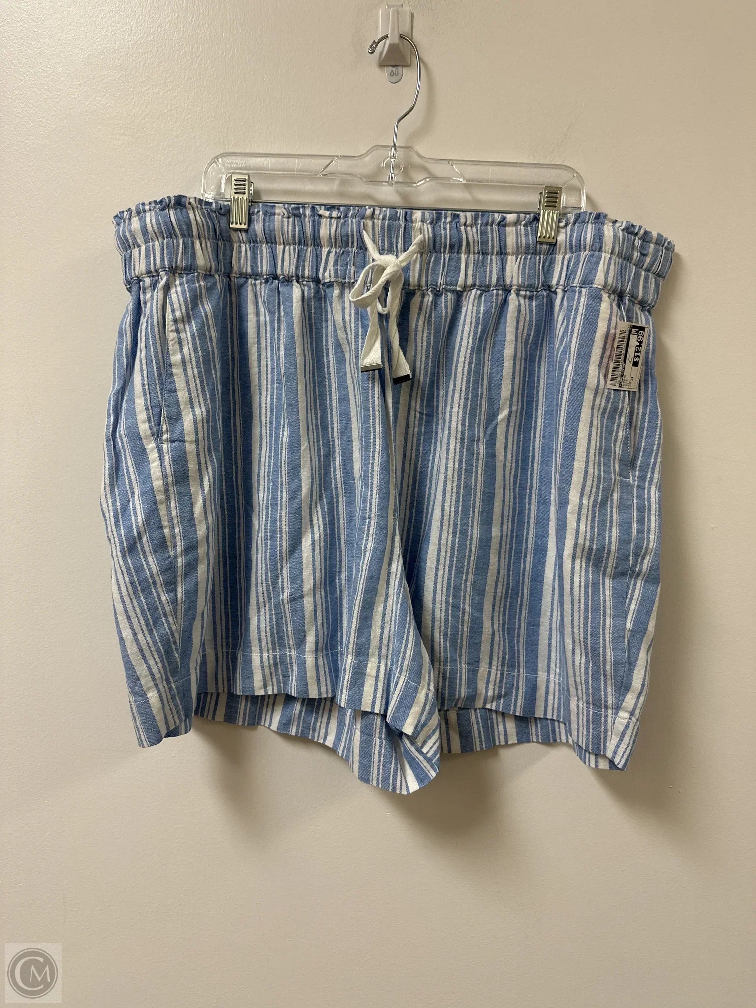 Men's Button-Fly Pants for a Traditional TouchShorts By Lane Bryant In Blue, Size: 24